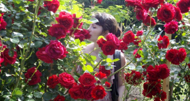 7 grădini cu trandafiri